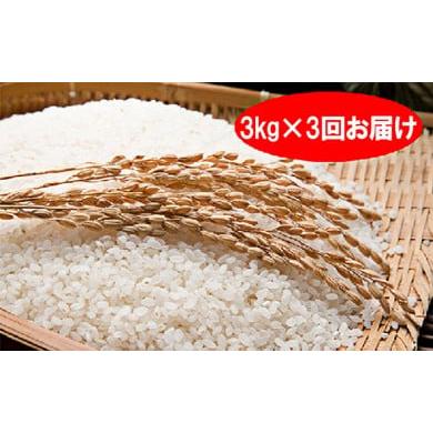 ふるさと納税 埼玉県 嵐山町 特別栽培米「彩のきずな」白米9kg(3kg×3回のお届け)
