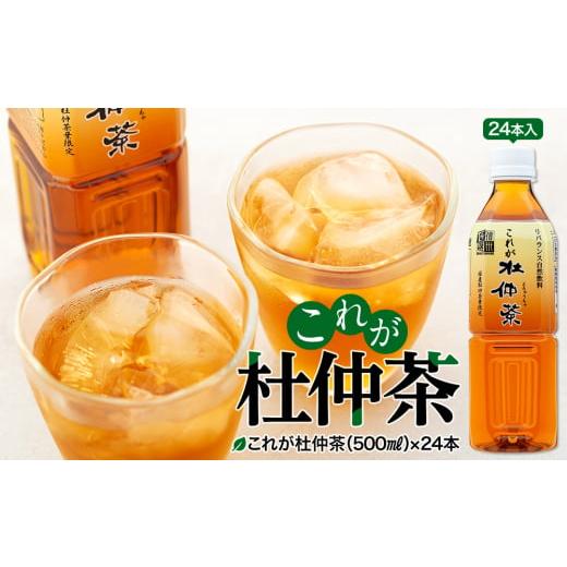 ふるさと納税 お茶類 長野県 箕輪町 これが杜仲茶 500ml 24本 ペットボトル 杜仲茶 お茶 茶 健康 ノンカフェイン 化学合成農薬不使用 飲料 ドリンク 飲み物 清…