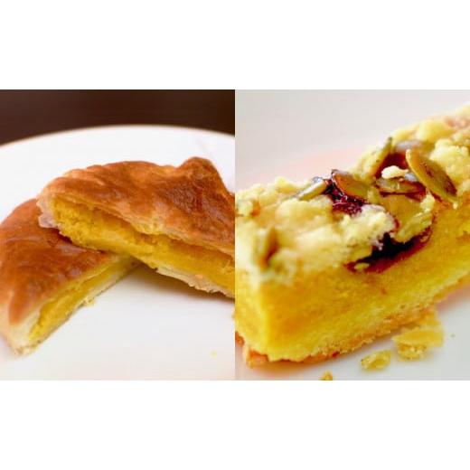 ふるさと納税 ケーキ・カステラ タルト 北海道 美深町 北海道美深銘菓 かぼちゃパイ10個・ピウカボッチャ6本セット  