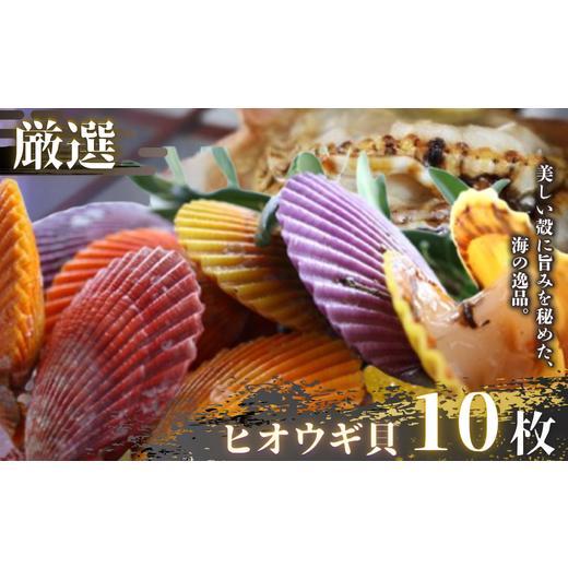 ふるさと納税 アワビ・ホタテ・他 島根県 西ノ島町 期間・数量限定 甘みが強く肉厚でジューシーなイロトリドリヒオウギ貝10枚セット ヒオウギ貝 BBQ アウトド…