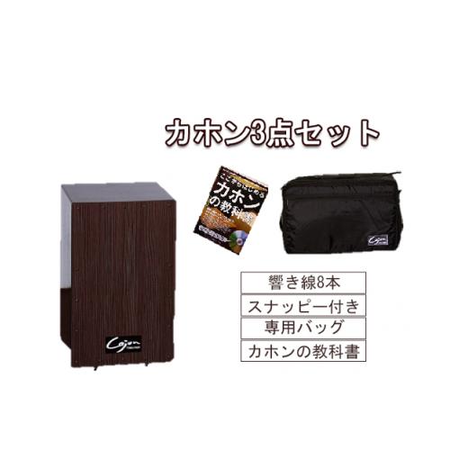 ふるさと納税 雑貨・日用品 愛知県 知立市 No.21-0150 カホン(スナッピー付、響線8本)・バッグ・教則本の3点セット TCA-3(cajon-set)(ダークブラウン) ダー…