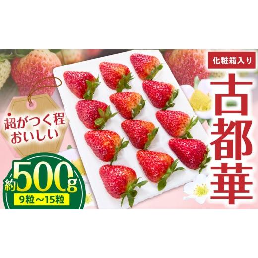 ふるさと納税 いちご 奈良県 生駒市 2027年1月〜3月上旬発送 「古都華」化粧箱入りいちご 甘みと酸味のバランスが抜群 古都華 いちご 1パック 9~15粒 化粧箱 …