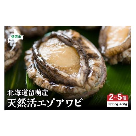 ふるさと納税 魚貝類 アワビ 北海道 留萌市 日時指定不可 産地直送 北海道留萌産天然活エゾアワビ 2〜5個