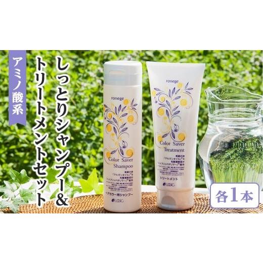 ふるさと納税 美容 京都府 宇治市 アミノ酸系しっとりシャンプー&トリートメントセット(各1本) uj-AK003 ロジック