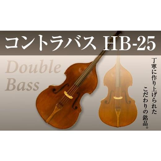 ふるさと納税 楽器 京都府 宇治市 コントラバス HB-25 uj-BM002-A ヒガシ絃楽器製作所