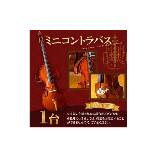 ふるさと納税 楽器 京都府 宇治市 ミニコントラバス MB-40 uj-BM002-E ヒガシ絃楽器製作所の画像