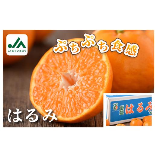 ふるさと納税 みかん・柑橘類 愛媛県 今治市 先行予約 はるみ 5kg S〜2L KB02530 2027年1月中旬〜2月中旬順次発送予定 みかん たっぷり 5kg 期間限定 国産 人…