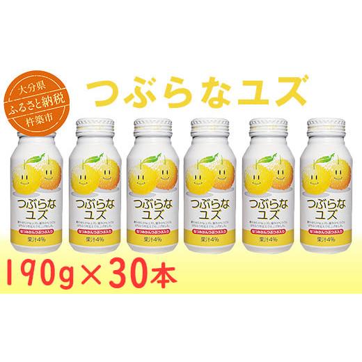 ふるさと納税 大分県 杵築市 つぶらなユズ 190g×30本 ジュース [131-002_5]