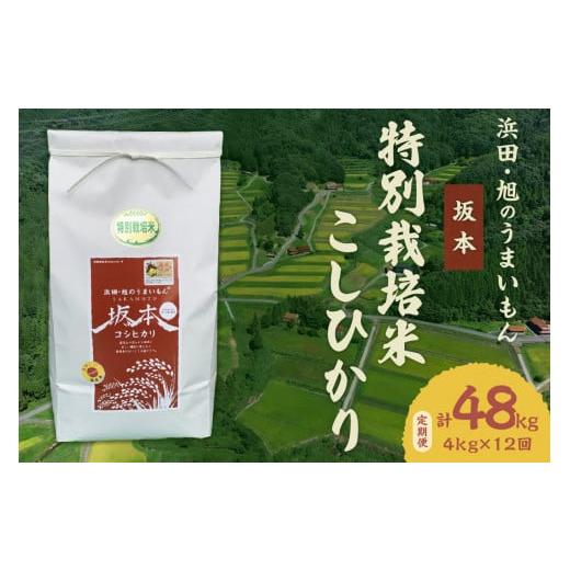 ふるさと納税 島根県 浜田市 【定期便】【令和５年産】浜田・旭のうまいもん「坂本」特別栽培米こしひかり 4ｋｇ×12回 米 お米 こしひかり 特別栽培米 定期 …｜furusatochoice｜02