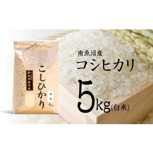 ふるさと納税 米 コシヒカリ 新潟県 南魚沼市 12月20日ご入金確認分まで年内発送 令和7年産 南魚沼産コシヒカリ(白米) 5kg