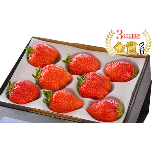 ふるさと納税 いちご 群馬県 玉村町 群馬県やよいひめ(いちご)約400g 3年連続金賞受賞