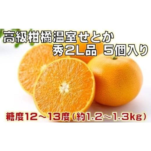 ふるさと納税 みかん・柑橘類 高知県 黒潮町 高級 柑橘 温室 せとか 秀品 2L 品 5個入り 約1.2〜1.3kg みかん 蜜柑 ミカン 果物 フルーツ 柑橘類 国産 柑橘 期…
