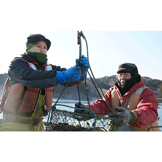 ふるさと納税 岩手県 陸前高田市 鈴木さん家のむき身牡蠣MとL食べ比べ1kg【2024年1月前半】 加熱用
