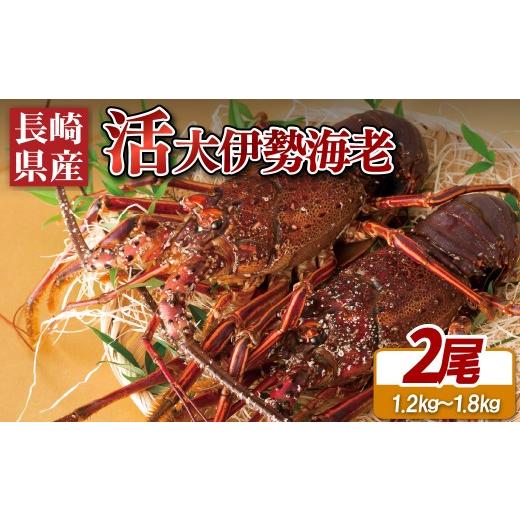 ふるさと納税 エビ 伊勢エビ 長崎県 佐世保市  産地直送 長崎県産 活き 伊勢海老 2尾 ( 600g 〜 900g × 2 ) 新鮮 イセエビ いせえび 伊勢えび 刺身 ヤマサ水…_1