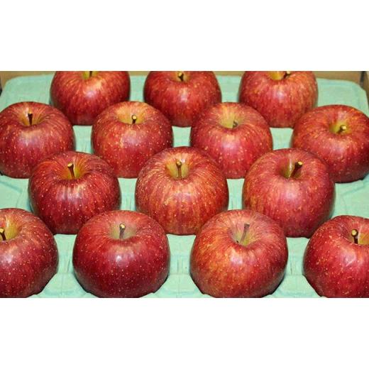 ふるさと納税 長野県 長野市 J0456農園直送　長野市産「蜜入りサンふじ」 9kg (小林紀美園) 蜜入りサンふじ 9kg