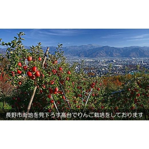 ふるさと納税 長野県 長野市 J0456農園直送　長野市産「蜜入りサンふじ」 9kg (小林紀美園) 蜜入りサンふじ 9kg