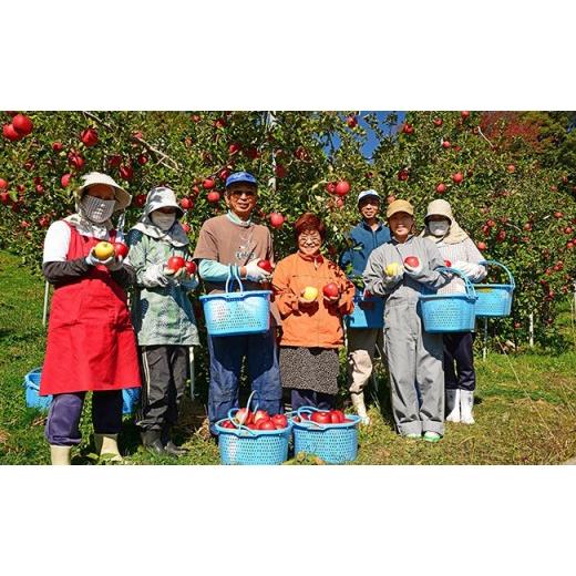 ふるさと納税 長野県 長野市 J0456農園直送　長野市産「蜜入りサンふじ」 9kg (小林紀美園) 蜜入りサンふじ 9kg