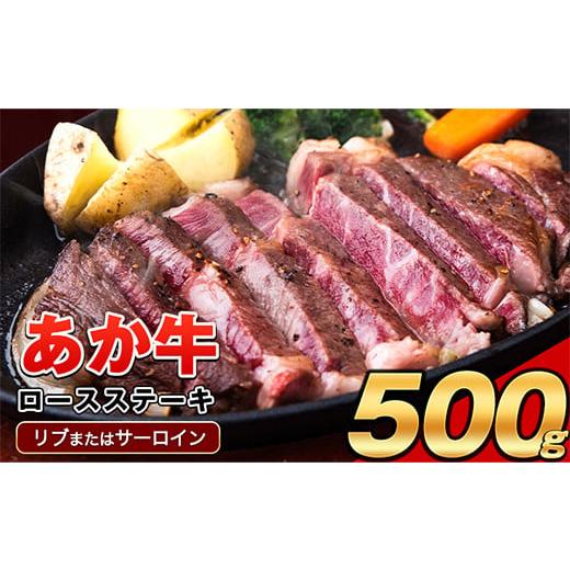 ふるさと納税 牛肉 ロース 熊本県 氷川町 あか牛(褐色和種)ロースステーキ (リブまたはサーロイン) 250g×2 500g 熊本県産 肉 和牛 牛肉 赤牛 あかうし リブ…