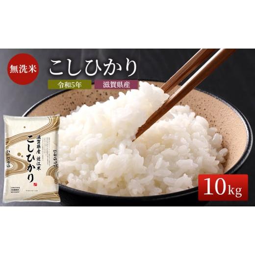 ふるさと納税 滋賀県 豊郷町 米 こしひかり BG無洗米 10kg 令和5年 ふるさと応援特別米 無洗米 お米 こめ コメ おこめ 白米 コシヒカリ