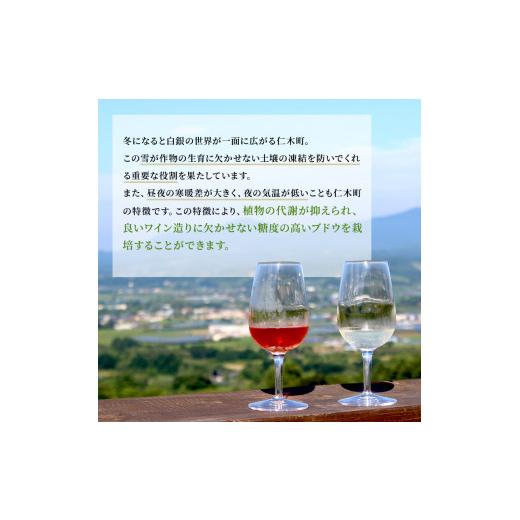 ふるさと納税 北海道 仁木町 kanonzオリジナル白ワイン2種セット｜furusatochoice｜08