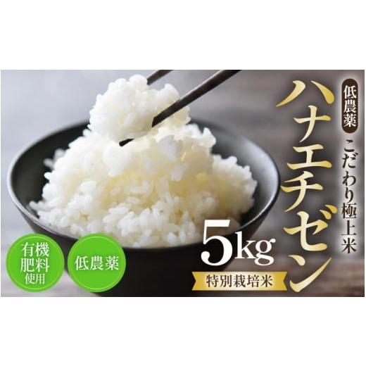 ふるさと納税 米 福井県 あわら市 先行予約 令和8年産・新米 特別栽培米 ハナエチゼン 5kg 低農薬 [こだわり極上米] / 福井県 あわら 北陸 米 お米 人気 2…