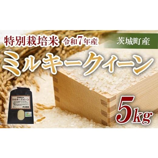 ふるさと納税 米 ミルキークイーン 茨城県 茨城町 179 令和7年産 ミルキークイーン 奥谷さんちの特別栽培米 5kg 奥谷農園