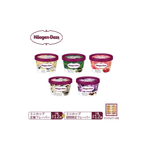 ふるさと納税 菓子 アイス 群馬県 高崎市  15B002  ハーゲンダッツ／パーティーセットの画像