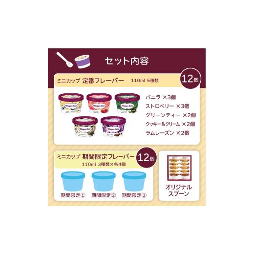 ふるさと納税 菓子 アイス 群馬県 高崎市  15B002  ハーゲンダッツ／パーティーセットの画像