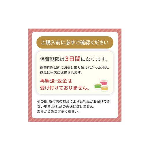 ふるさと納税 菓子 アイス 群馬県 高崎市  15B002  ハーゲンダッツ／パーティーセットの画像