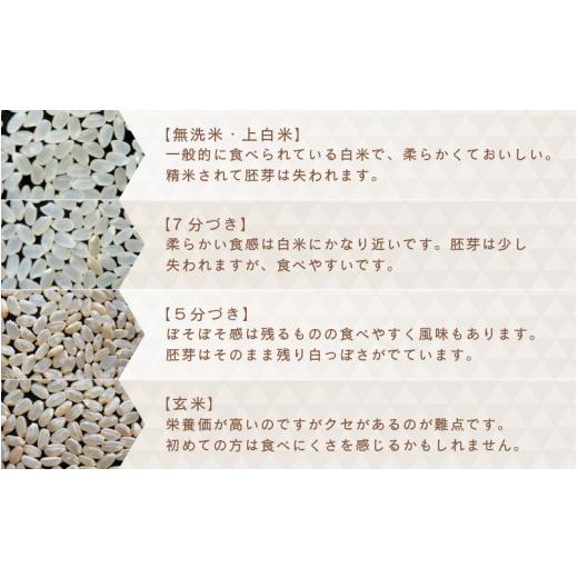 ふるさと納税 米 コシヒカリ 福井県 坂井市  先行予約 令和8年産・新米 3ヶ月連続お届け 二代目が笑顔で育てたコシヒカリ 10kg × 3回 計30kg 2026年10月上旬…_4