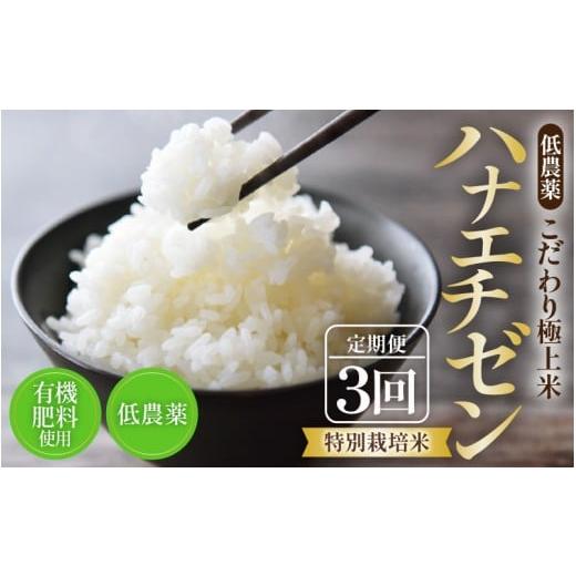 ふるさと納税 米 福井県 あわら市 先行予約 令和8年産・新米 [定期便]特別栽培米 ハナエチゼン 低農薬 5kg×3回 15kg [こだわり極上米] / 福井県 あわら…