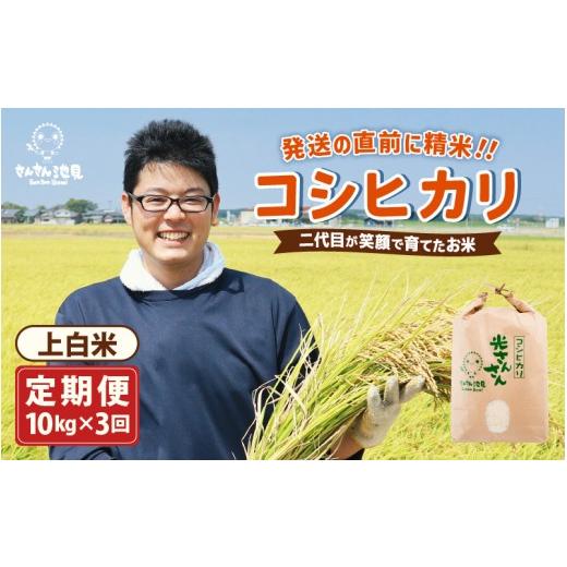 ふるさと納税 米 コシヒカリ 福井県 坂井市 先行予約 令和8年産・新米 3ヶ月連続お届け 二代目が笑顔で育てたコシヒカリ 10kg × 3回 計30kg 2026年10月上旬…