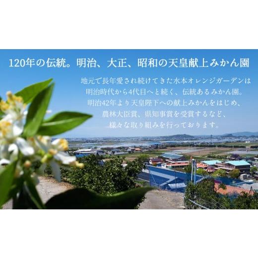 ふるさと納税 熊本県 玉名市 温州みかん 【 限定 50セット 】 高級品種 「 金峯 5kg 」 | フルーツ 果物 くだもの 柑橘 ミカン みかん 温州ミカン きんぽう 熊…｜furusatochoice｜03