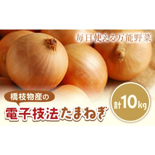 ふるさと納税 野菜類 玉ねぎ 北海道 浦幌町 十勝 電子技法栽培たまねぎ 約10kg 野菜 《2026年10月上旬から順次出荷》橋枝物産 北海道 浦幌町の画像