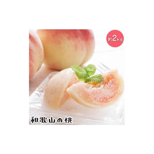 ふるさと納税 もも 和歌山県 美浜町 先行予約 夏の美味 フルーツ王国 和歌山の桃 約2kg 化粧箱入り | もも モモ 桃 国産 フルーツ 果物 果実 お取り寄せ ギフ…
