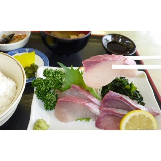 ふるさと納税 旬の鮮魚等 香川県 東かがわ市   ひけた鰤(ブリ)一尾(納期指定賜ります) 魚介類 刺身