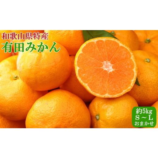 ふるさと納税 果物類 みかん 和歌山県 美浜町 秀品 和歌山有田みかん約5kg(S〜Lサイズおまかせ) 2026年11月中旬〜2027年1月中旬頃に順次発送予定