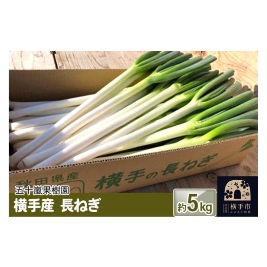 ふるさと納税 野菜類 ねぎ 秋田県 横手市 先行受付 10月下旬より発送 横手産 長ねぎ 約5kg 先行予約 葱 ネギ 野菜 秋田県 横手市
