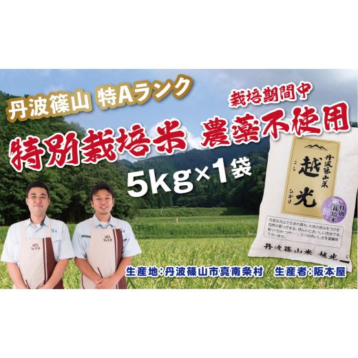 ふるさと納税 米 コシヒカリ 兵庫県 丹波篠山市 特Aランク 農薬完全不使用 令和7年産 丹波篠山産 特別栽培米 コシヒカリ 5kg[食味値83点以上]精米したて 農…