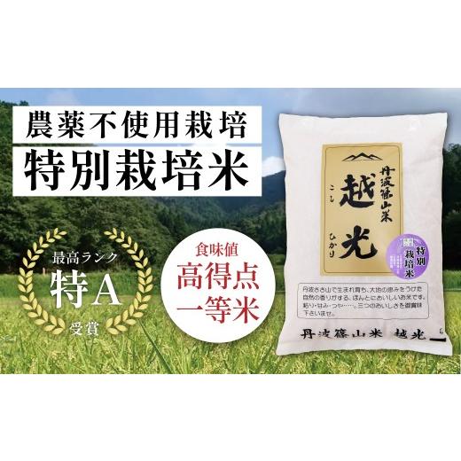 【引取り可能な方限定】コシヒカリ 苗 28枚(枚数指定可) ふるさと納税 米 コシヒカリ 兵庫県 丹波篠山市 〈スピード出荷〉 特A
