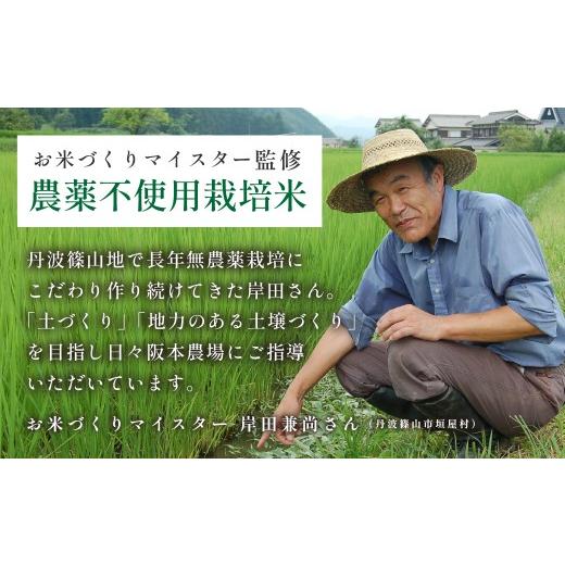 ふるさと納税 米 コシヒカリ 兵庫県 丹波篠山市 〈スピード出荷〉 特A