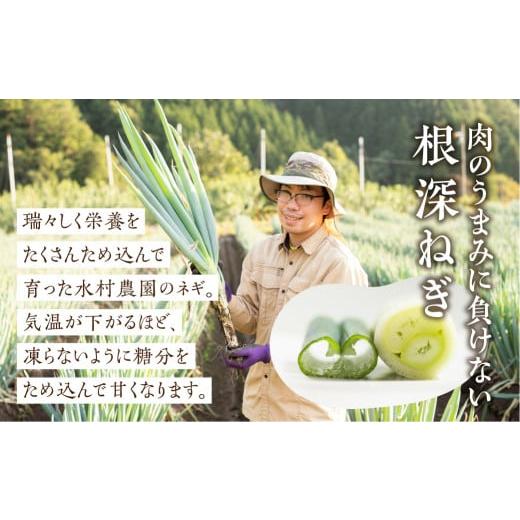 ふるさと納税 ジビエ鍋 岐阜県 飛騨市 飛騨ジビエ＆飛騨野菜のクマ鍋セット(2〜3人前) 水村農園 白ネギ・うどん入り ジビエ鍋 ／ 鍋 なべ 熊 ジビエ ネギ 葱 …_4