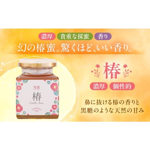 ふるさと納税 加工品等 はちみつ 愛知県 稲沢市  ギフト箱入り 椿はちみつ（200g×3本） ／ はちみつ 国産 非加熱 純粋 蜂蜜 天然 ハチミツ ／ 稲沢市 ／ 椿園…の画像