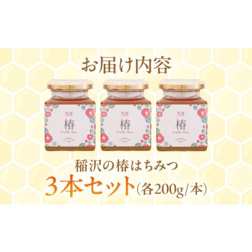 ふるさと納税 加工品等 はちみつ 愛知県 稲沢市  ギフト箱入り 椿はちみつ（200g×3本） ／ はちみつ 国産 非加熱 純粋 蜂蜜 天然 ハチミツ ／ 稲沢市 ／ 椿園…の画像