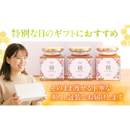 ふるさと納税 加工品等 はちみつ 愛知県 稲沢市  ギフト箱入り 椿はちみつ（200g×3本） ／ はちみつ 国産 非加熱 純粋 蜂蜜 天然 ハチミツ ／ 稲沢市 ／ 椿園…の画像