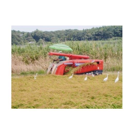 完動品 ふるさと納税 千葉県 八千代市 【12ヶ月定期便】八千代産コシヒカリ【エコ米】10kg×12回 【NAN2098824839】(73920円)