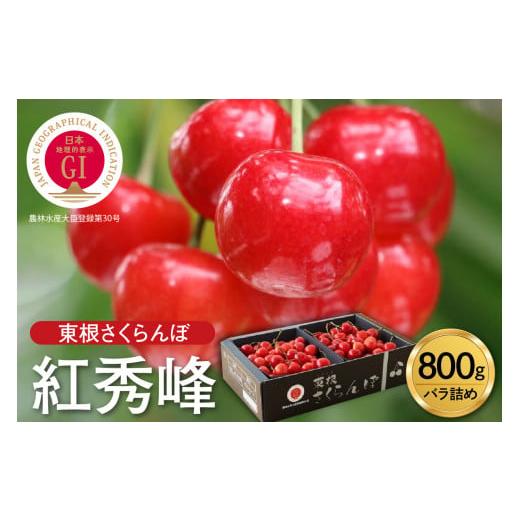 ふるさと納税 果物類 さくらんぼ 山形県 東根市 2026年産 先行予約 GI 「東根さくらんぼ」紅秀峰 800g バラ詰め JA園芸部提供 山形県 東根市 hi001-040