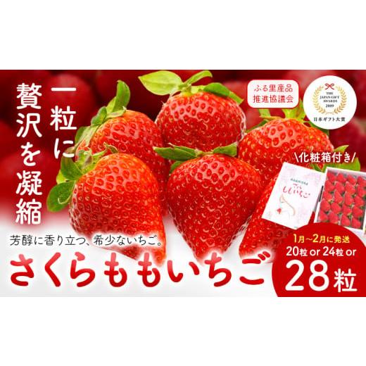 ふるさと納税 いちご 徳島県 佐那河内村 いちご 佐那河内村限定 さくらももいちご 20粒 24粒 28粒 化粧箱 JA徳島市佐那河内支所 ふる里産品推進協議会[1月上…
