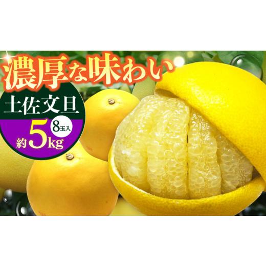ふるさと納税 みかん・柑橘類 高知県 高知市  先行予約 南国高知温室土佐文旦 約5kg 8玉〈2026年11月中旬〜2027年2月中旬頃発送〉／ 文旦 ぶんたん 5kg 5キロ …_1