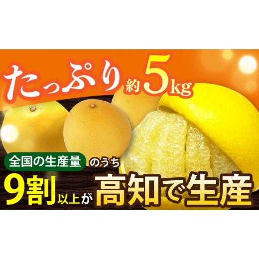 ふるさと納税 みかん・柑橘類 高知県 高知市  先行予約 南国高知温室土佐文旦 約5kg 8玉〈2026年11月中旬〜2027年2月中旬頃発送〉／ 文旦 ぶんたん 5kg 5キロ …_2